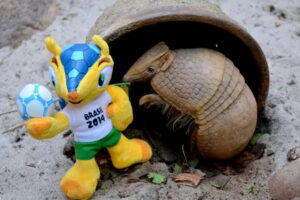 tatu bola fuleco