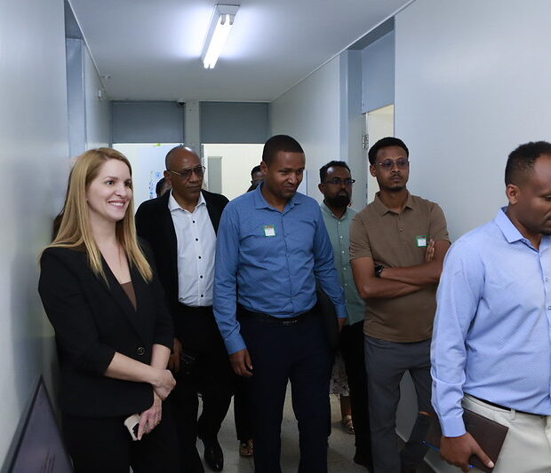 delegação da etiópia visita rede pública de saúde do df