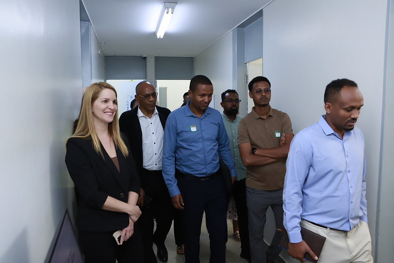 delegação da etiópia visita rede pública de saúde do df