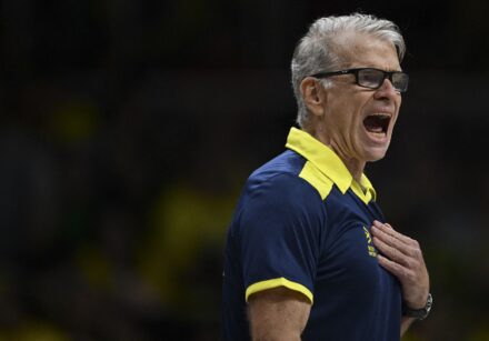 volleyball nations league bra cub