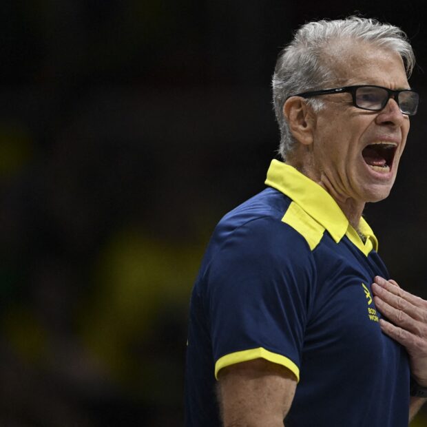volleyball nations league bra cub