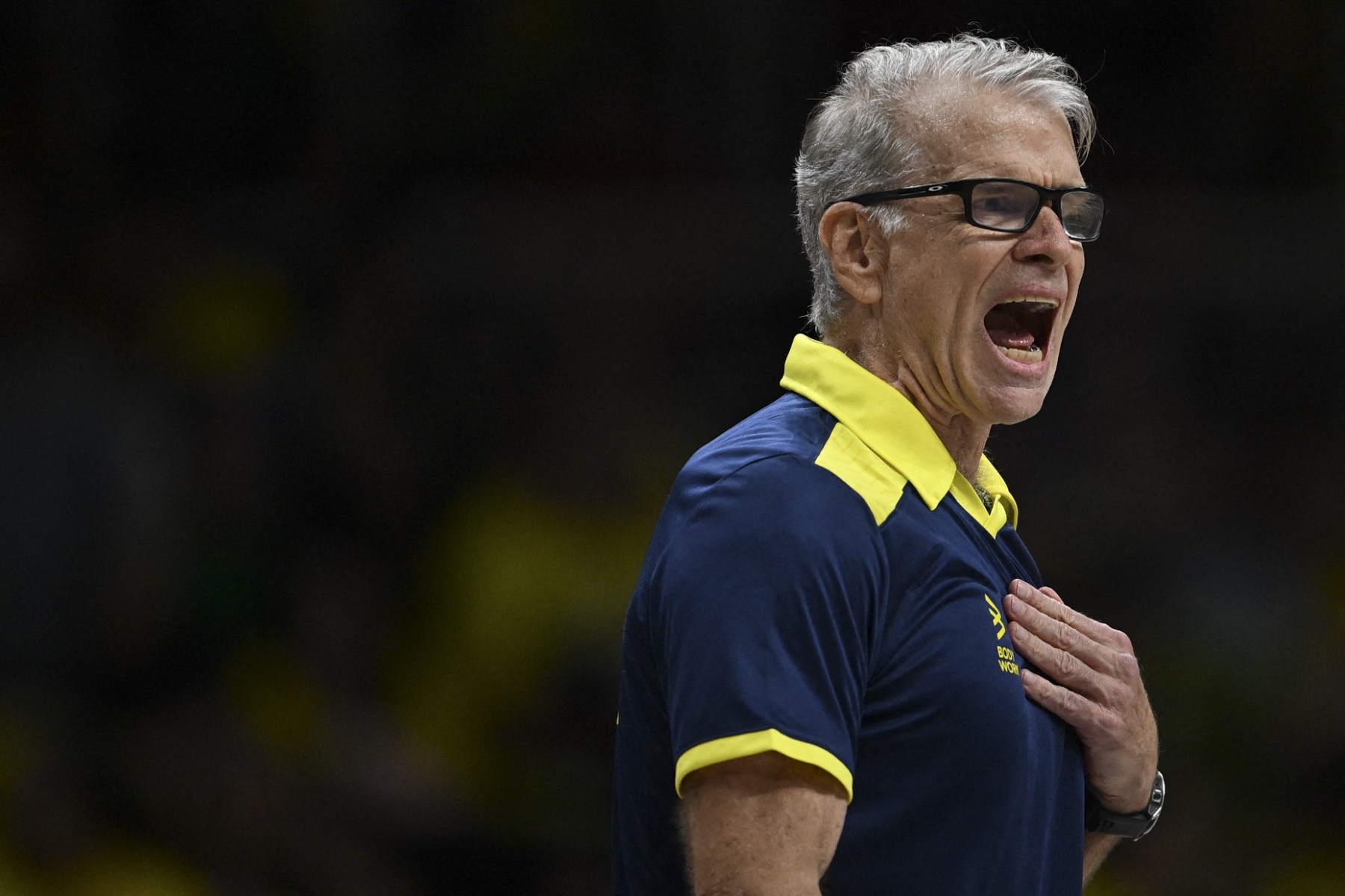 volleyball nations league bra cub
