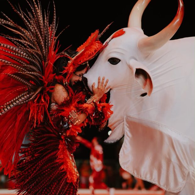 As luzes do Bumbódromo se apagam para um ciclo inesquecível. Isabelle Nogueira deixa o posto de Cunhã-Poranga, mas segue como uma das maiores representantes da cultura de Parintins e da Amazônia.