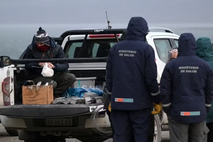afp 20260518 b39v3vk v1 highres argentinahealthvirus