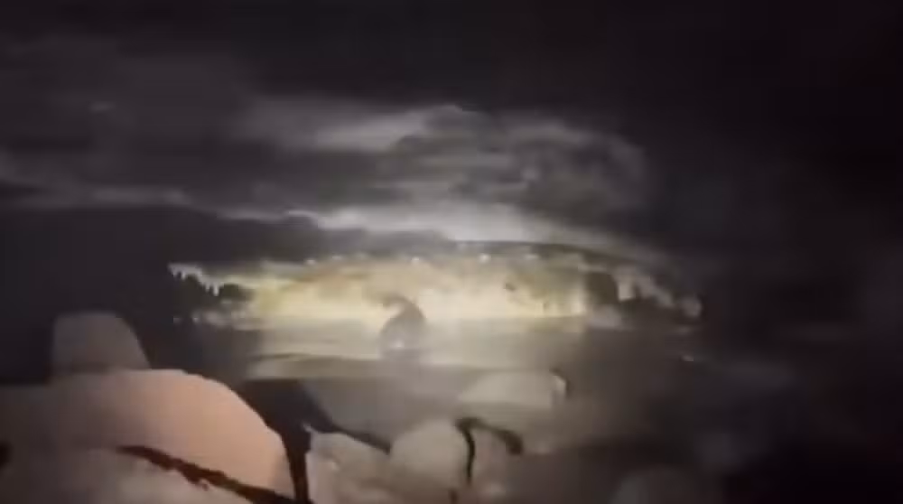 O ataque aconteceu enquanto Irving Mauricio fotografava a praia em Puerto Vallarta. A história ganhou repercussão internacional e reacendeu o alerta sobre os riscos em áreas com presença de animais silvestres.