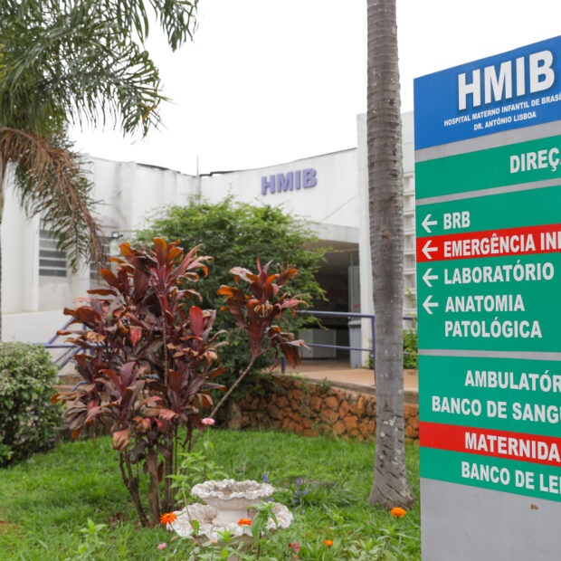 hmib