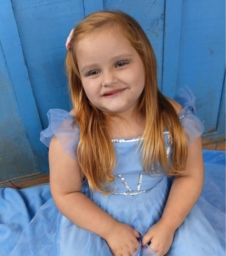 Menina de 4 anos morre após carro da família cair de ponte