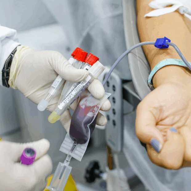 coleta sangue