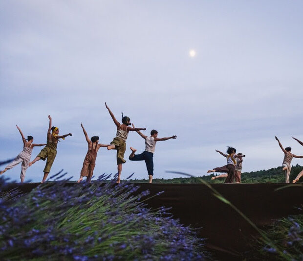 A L’Occitane celebrou seus 50 anos com uma apresentação inédita de Angelin Preljocaj em meio aos campos de lavanda da Provence.
