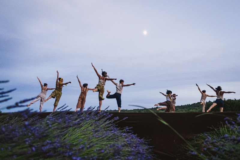 Dez bailarinos, lavanda, arte e natureza marcaram a comemoração dos 50 anos da L’Occitane em uma performance exclusiva na França.