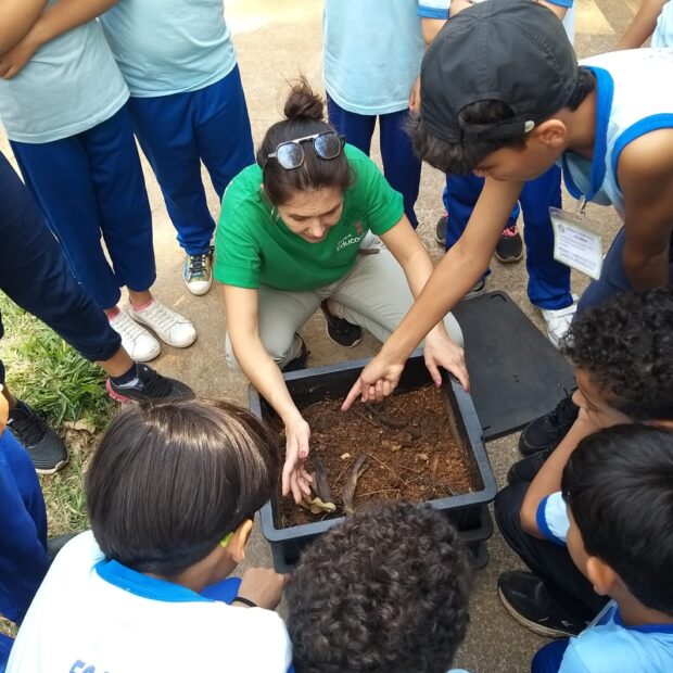 parque educador df