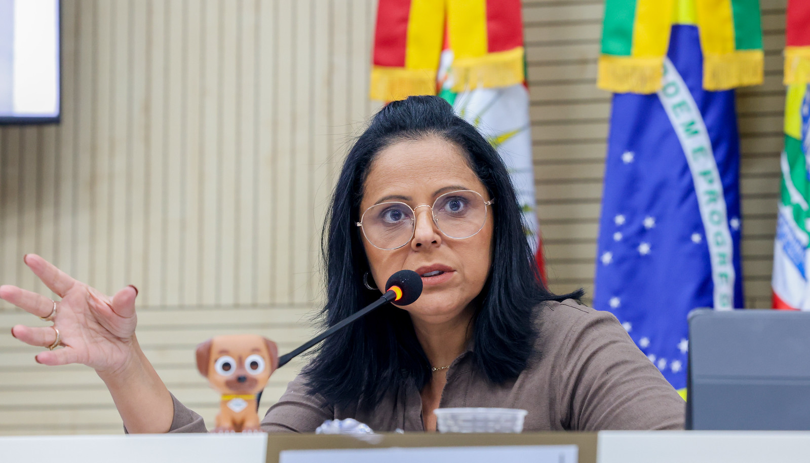 Vereadora defensora de animais recebe cachorro morto e denuncia ameaça