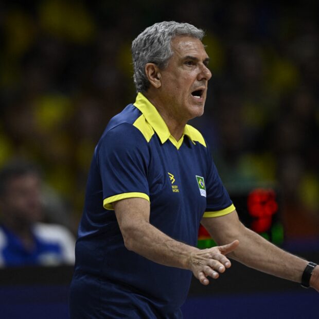 volleyball nations league bra can
