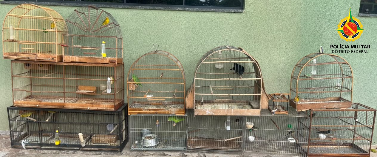 Aves Silvestres Resgatadas em Operações Policiais no DF e PI