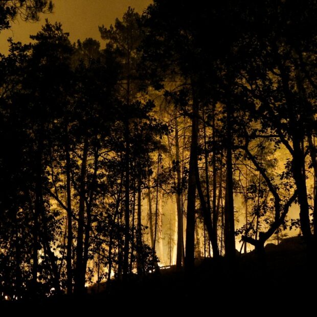 france fire