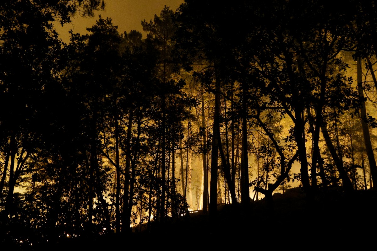 france fire