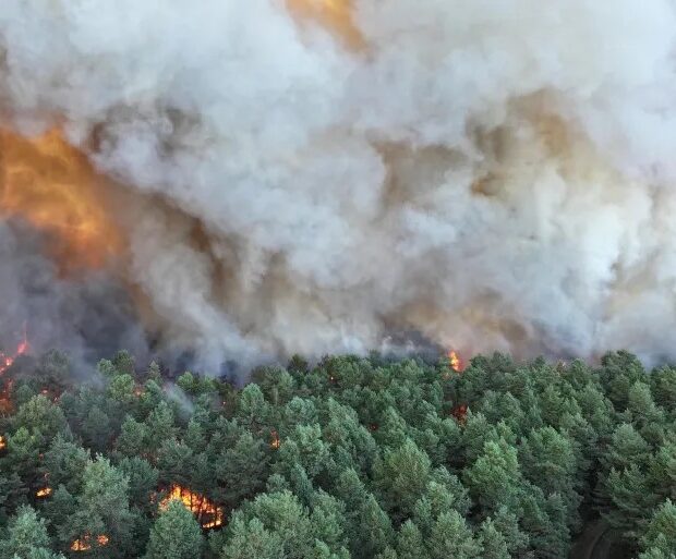 afp 20260712 b9z39g3 v1 highres francefire 1783930252