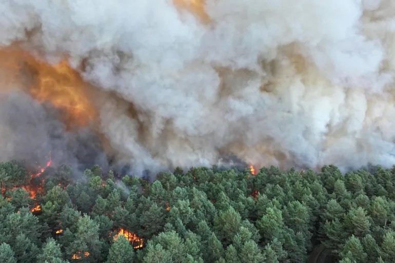 afp 20260712 b9z39g3 v1 highres francefire 1783930252
