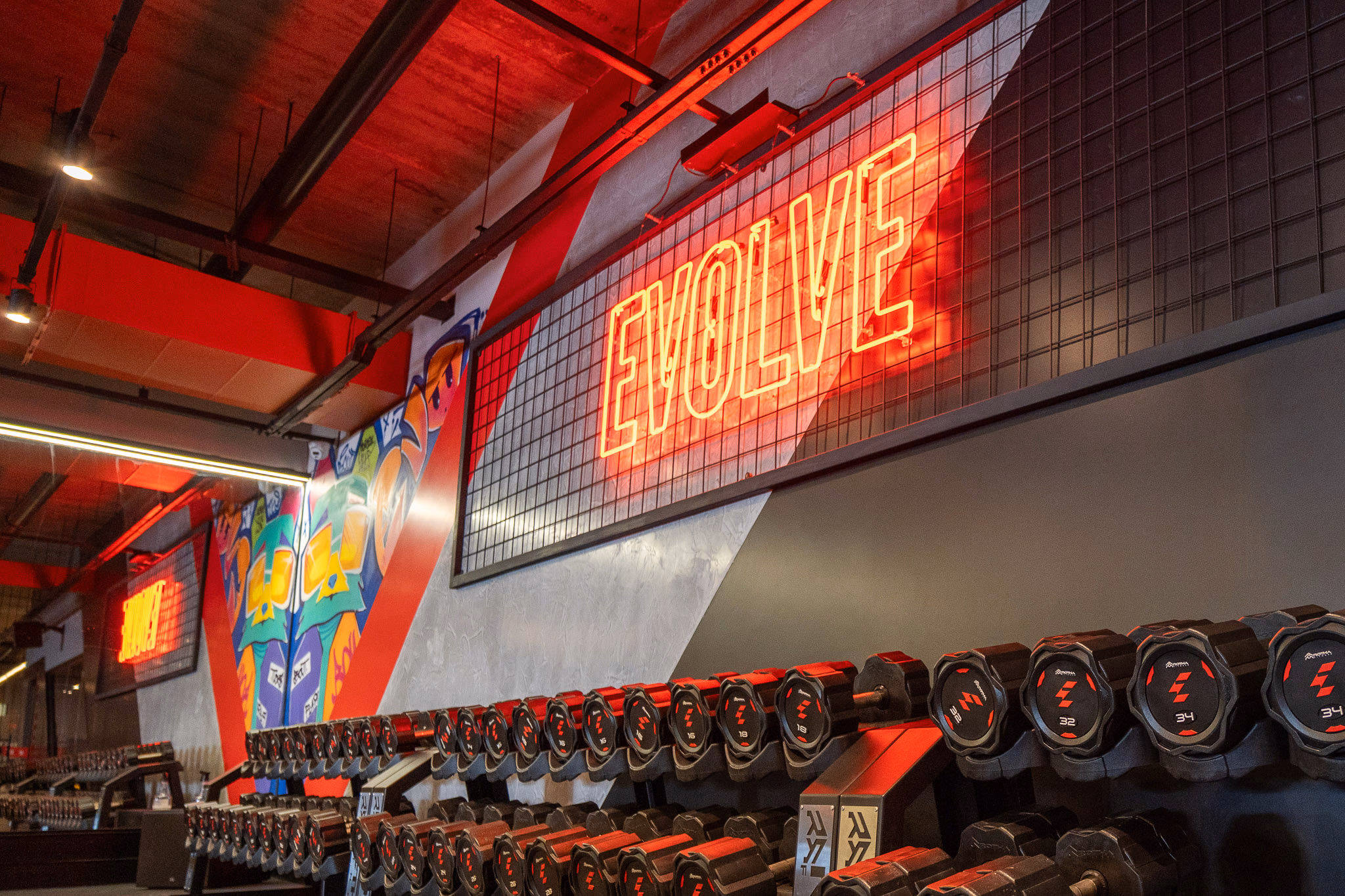 evolve 1