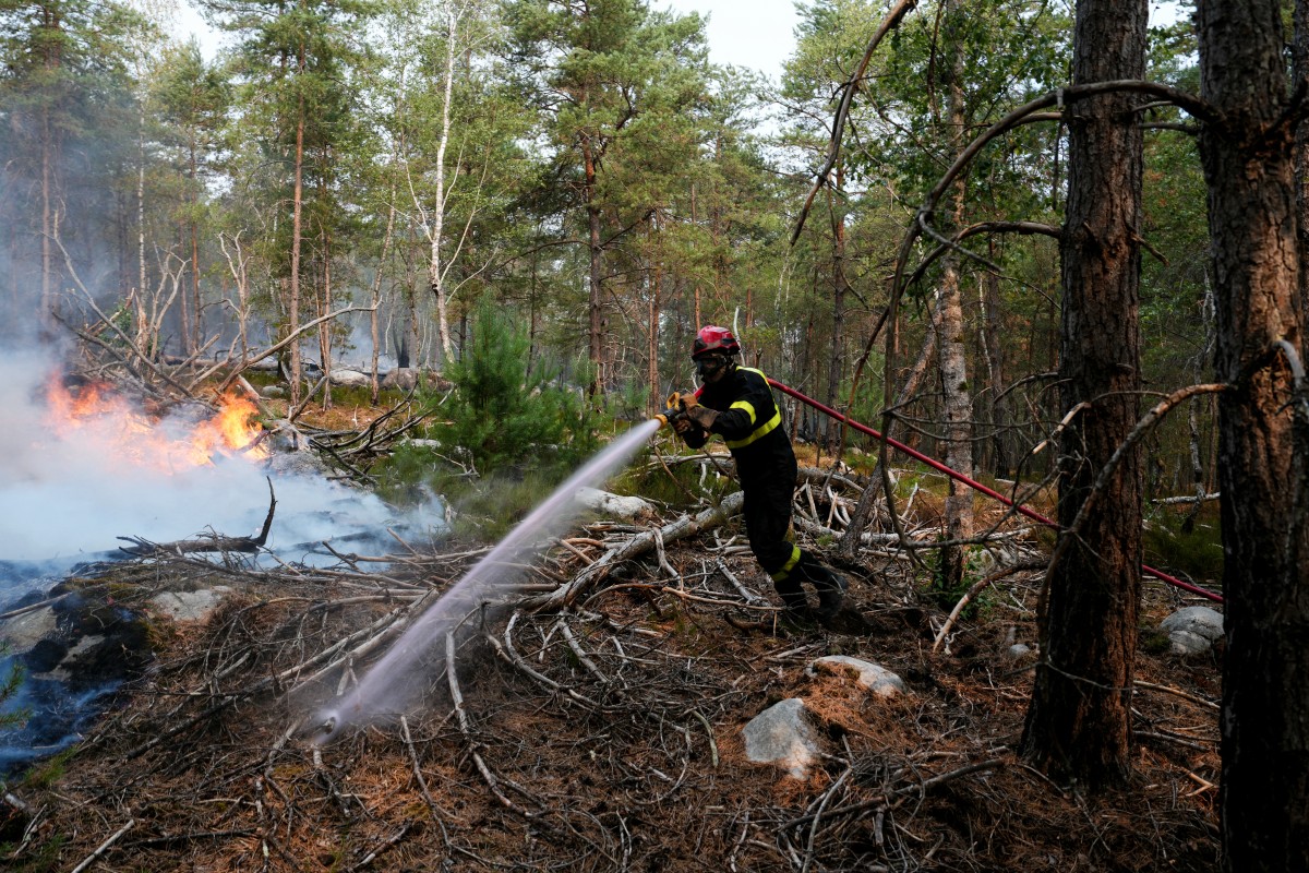 france fire weather climate forest