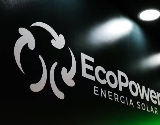 publicador api valor dino 100 7c0a8936 c89c 42e1 8fd9 16ce68649ebf
