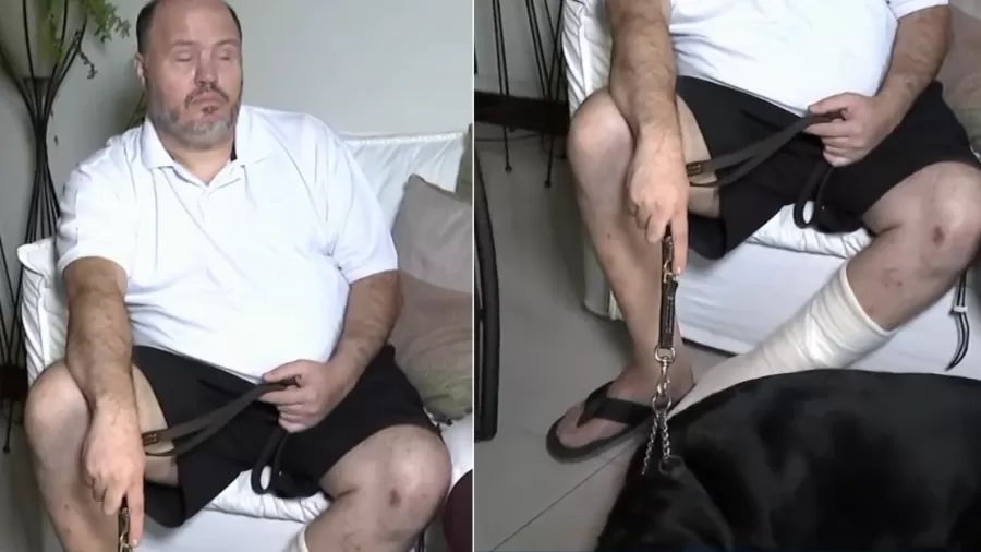 victor uchoa mostra machucados ao lado de cao guia 1784029083731 v2 900x506.png