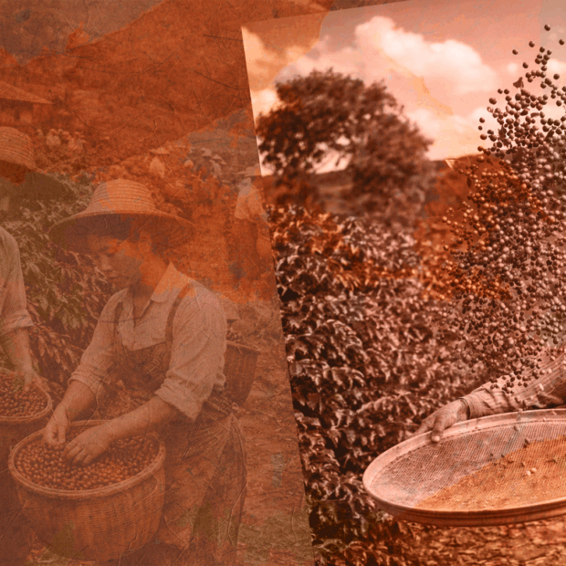 Itatiaia lança o documentário “Gigantes do Café”.