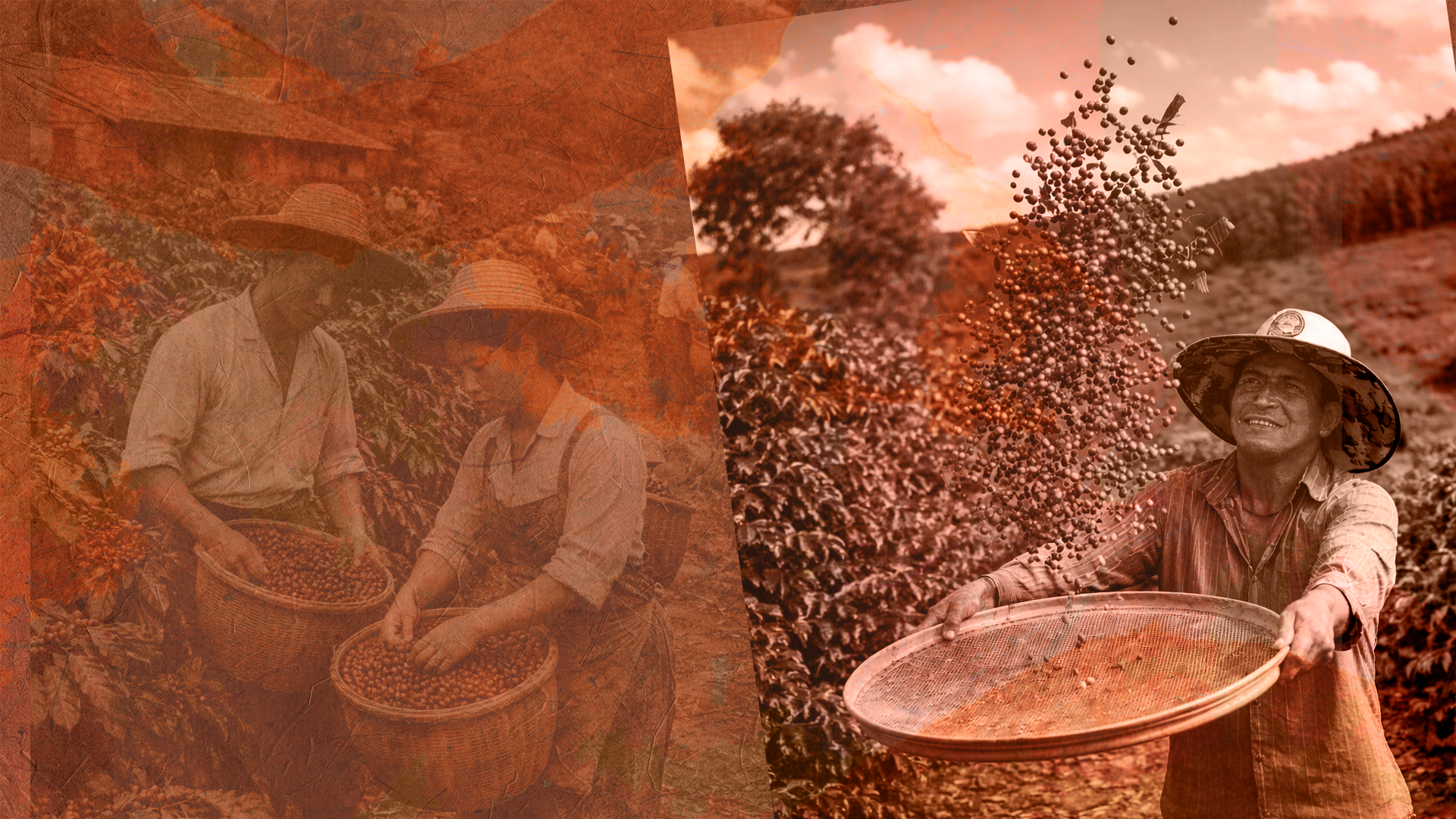 Itatiaia lança o documentário “Gigantes do Café”.