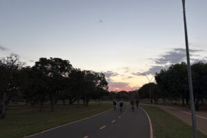 img 2553 (1)