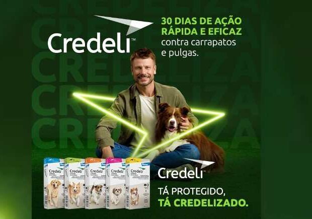 credeli pet center