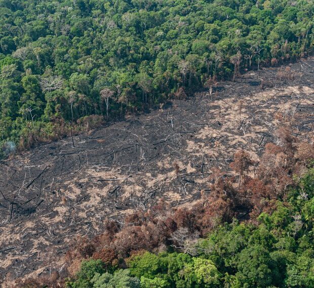 area desmatada amazonia