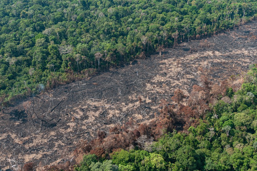 area desmatada amazonia