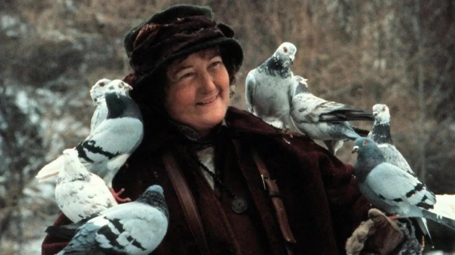 brenda fricker em esqueceram de mim 2 1784294505621 v2 900x506.jpg