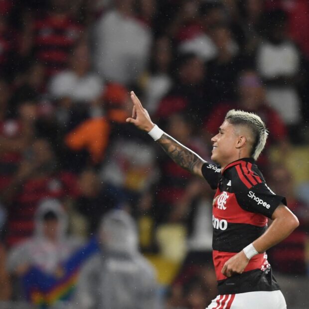 fbl bra flamengo remo