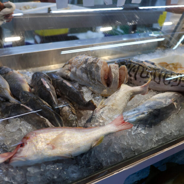 peixes