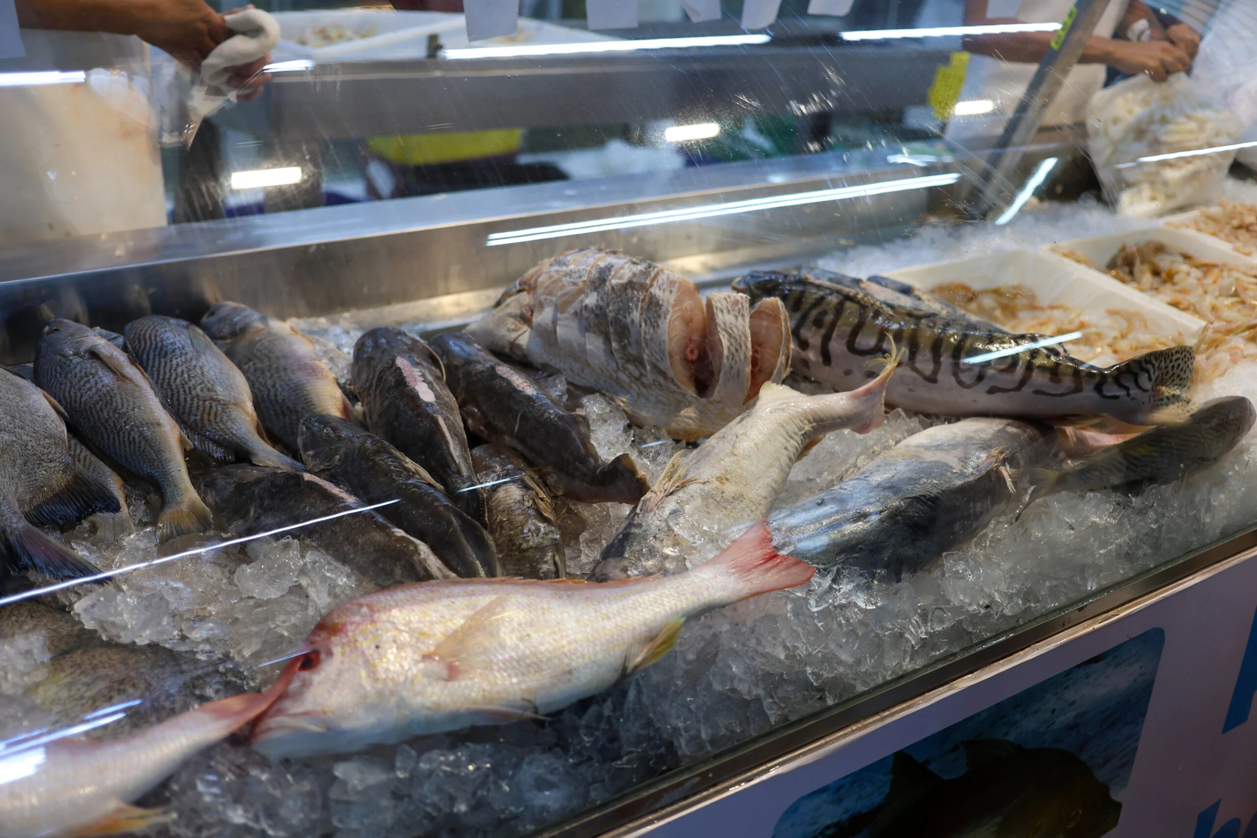 peixes