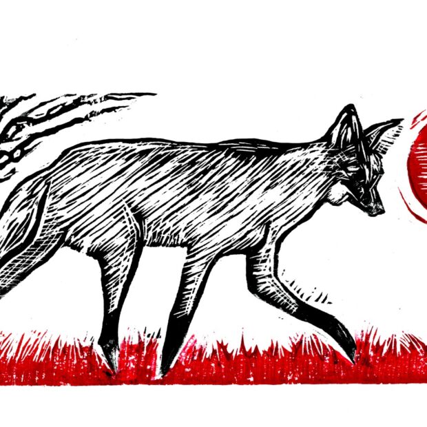 arte de valdério soares da costa