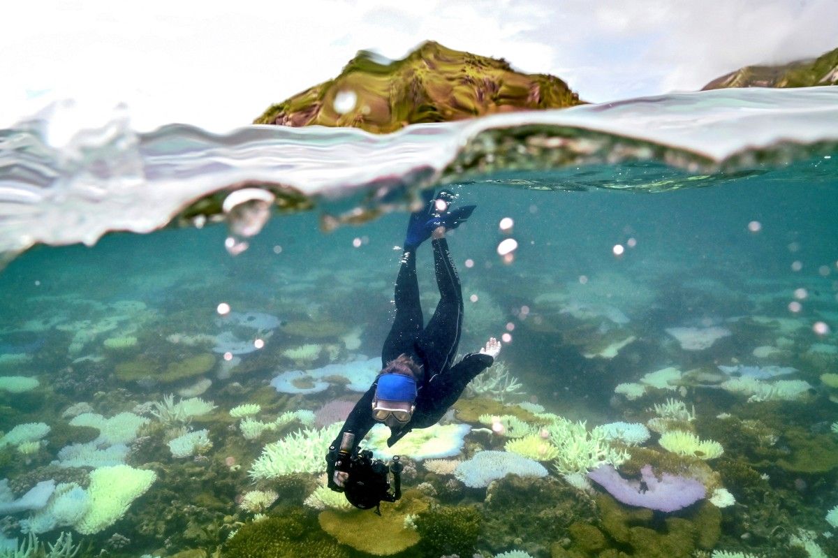 barreira de coral