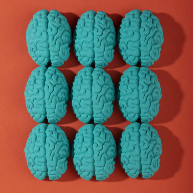 still life with human brains