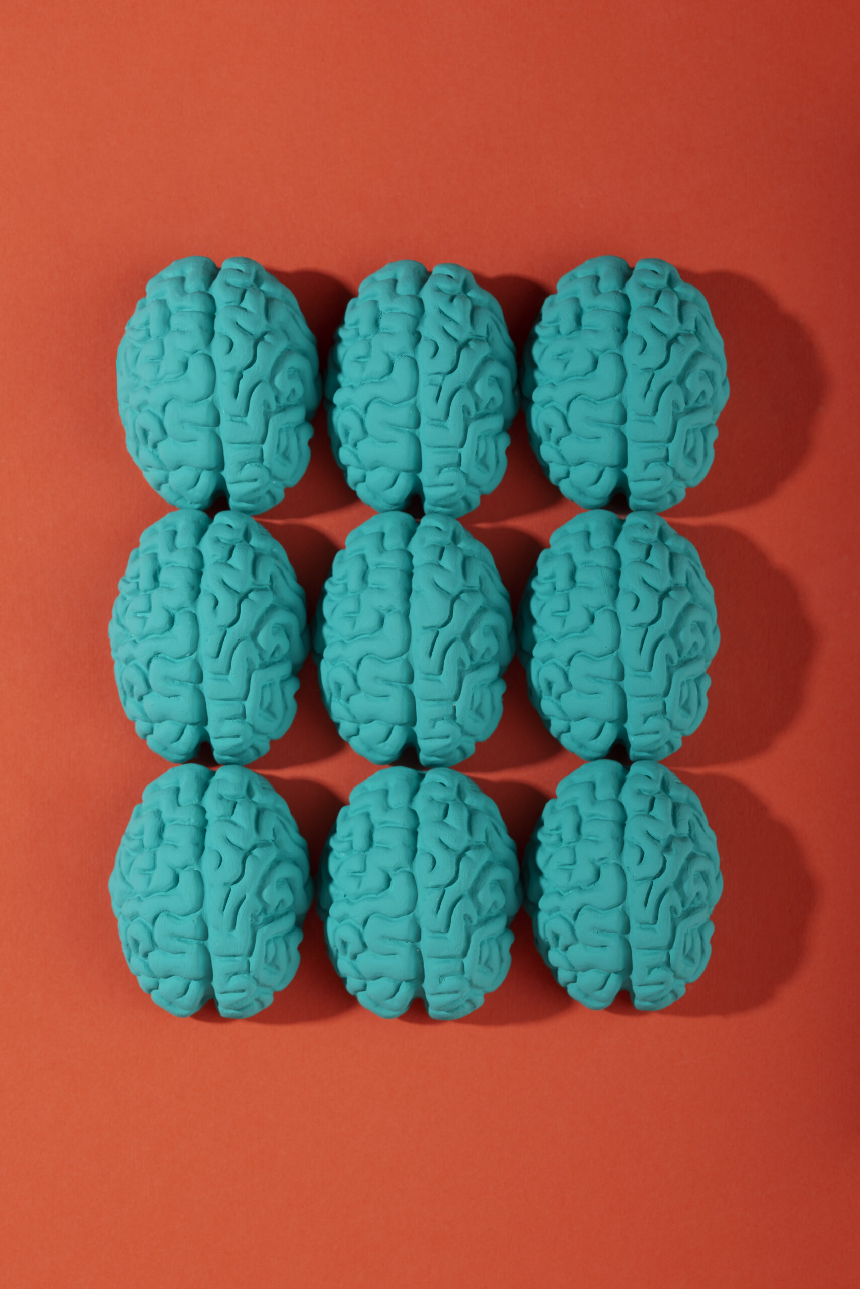 still life with human brains
