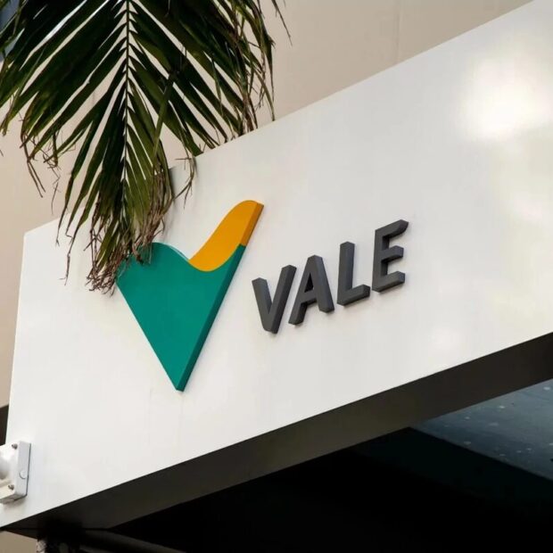 vale mineradora