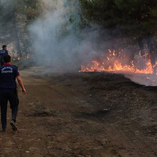 afp 20250630 64ax662 v1 midres turkeyfire 1