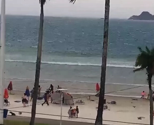 queda de uma árvore em santos