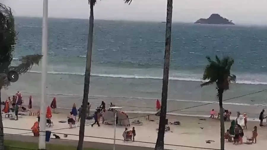 queda de uma árvore em santos
