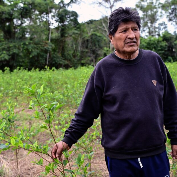 files bolivia politics justice