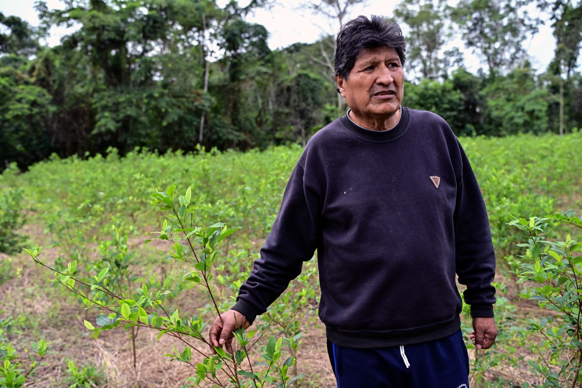 files bolivia politics justice
