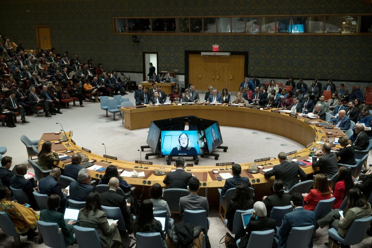 conselho de segurança da onu
