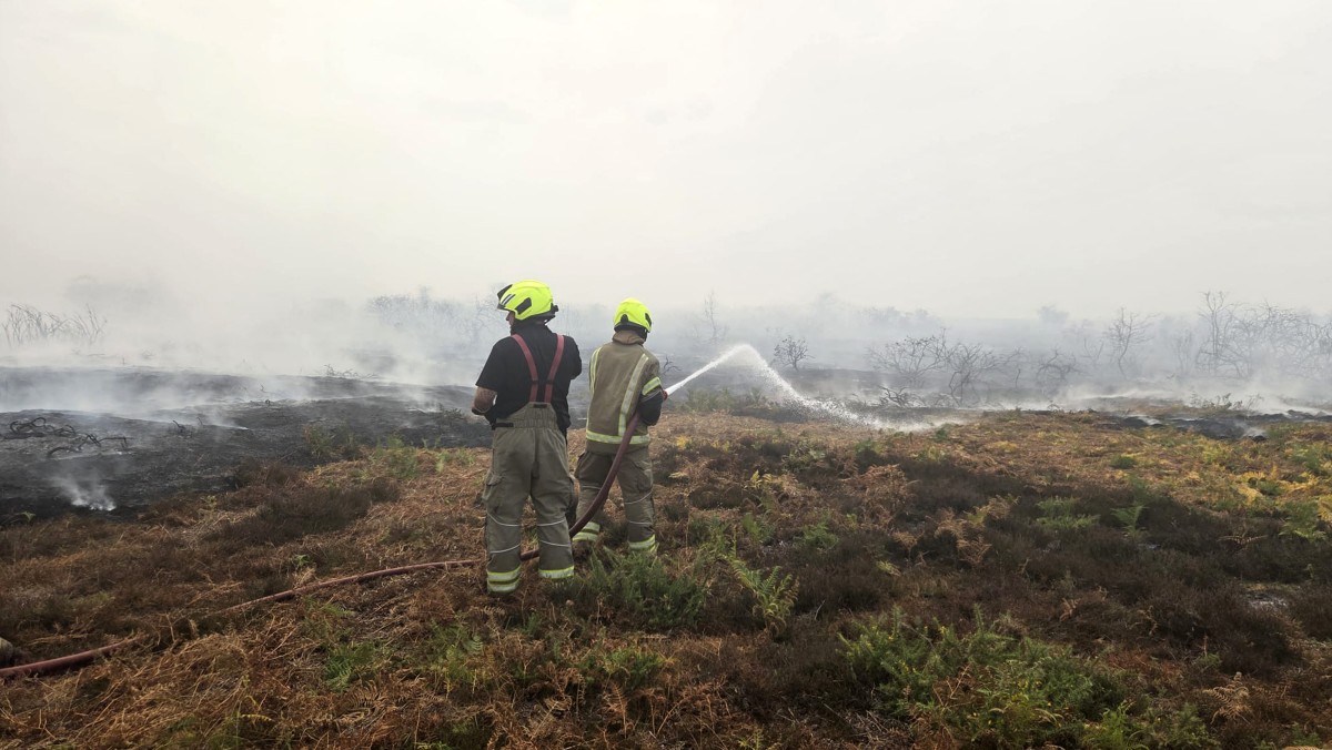 britain environment climate wildfire