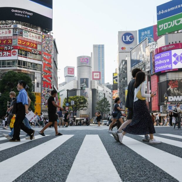 general views of japan economy