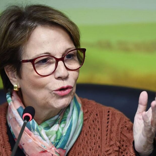 tereza cris